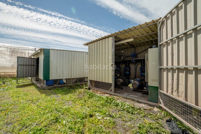 Foto bc324495-ab98-4798-accf-ec86355e225b. Finca rústica a Pedanías Sur Utrera