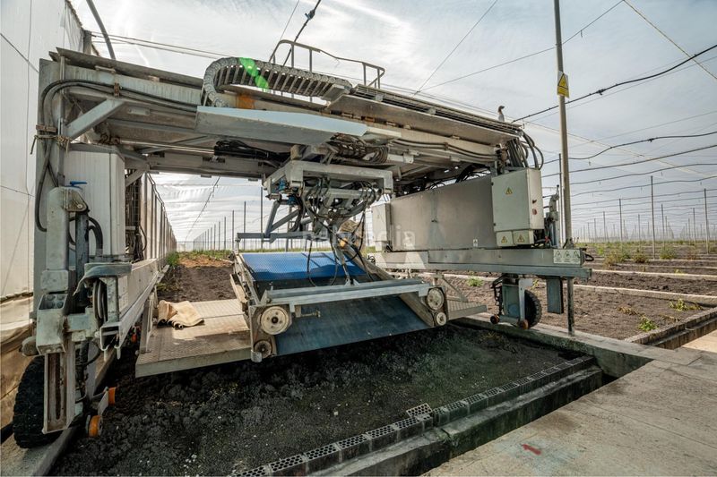 Foto bf2090c0-e9e9-43b2-9b4e-fea30e3aeb5e. Finca rústica a Pedanías Sur Utrera