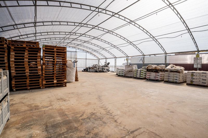 Foto bfe5b6e0-1c95-4dfc-bade-4a263ec04837. Finca rústica a Pedanías Sur Utrera