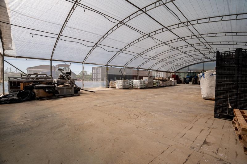 Foto c061e870-aaea-4590-8988-7ce4ec69abce. Finca rústica a Pedanías Sur Utrera