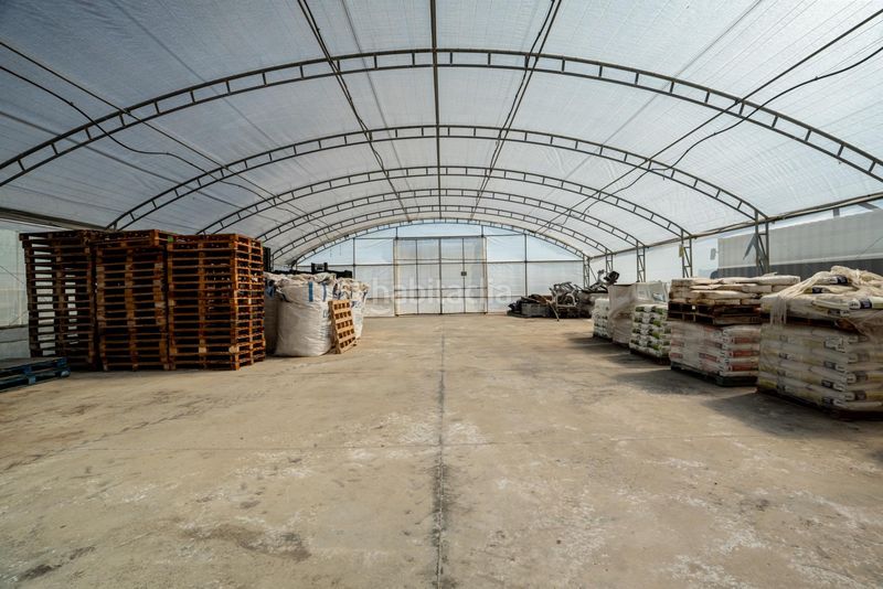 Foto c66fcf9f-e134-4500-b806-3a76e2a17a23. Finca rústica a Pedanías Sur Utrera
