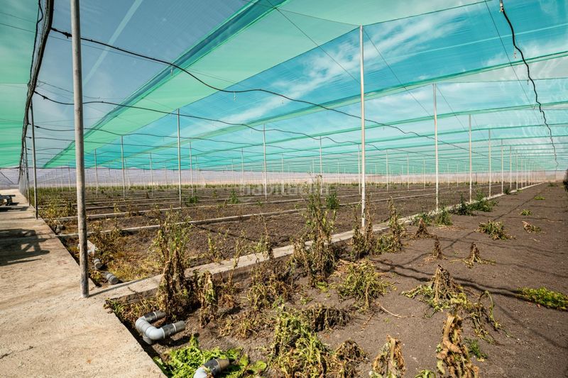 Foto cc17a414-27ab-4f62-8b5b-dca1aaeb2edc. Finca rústica a Pedanías Sur Utrera