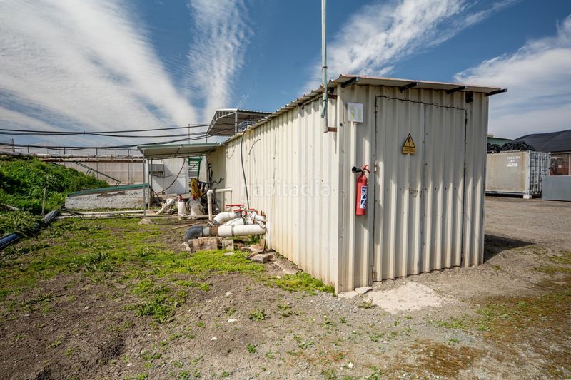 Foto d35653d9-a125-427e-9130-ca5640dd77d8. Finca rústica a Pedanías Sur Utrera