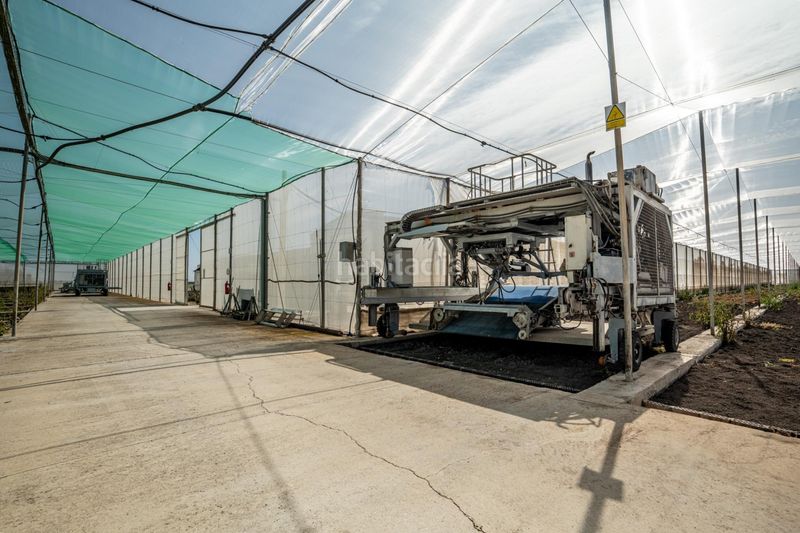 Foto df8cb501-4e83-4f43-8302-c6e73cf4d0a1. Finca rústica a Pedanías Sur Utrera