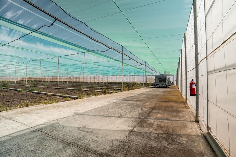 Foto e9e84645-b2d3-4aa0-9cfe-4ea8af701116. Finca rústica a Pedanías Sur Utrera