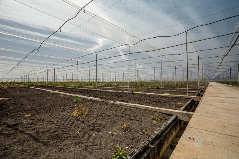 Foto ec37f068-57c8-4184-8d5d-8803b9041e21. Finca rústica a Pedanías Sur Utrera