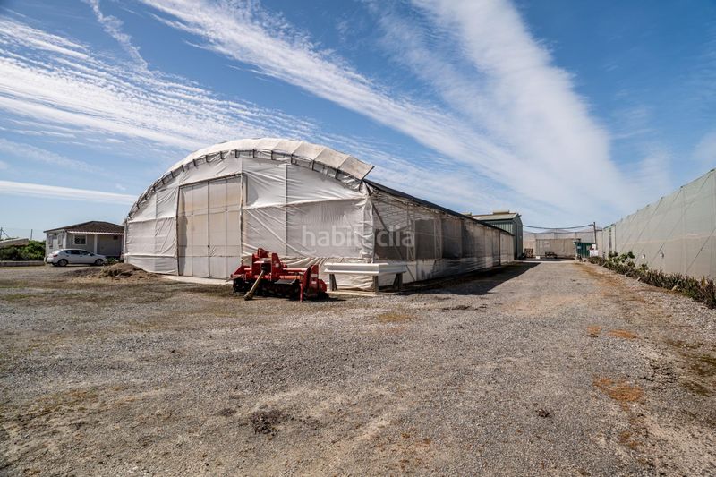 Foto f4689a3a-9b1f-4b71-8d08-77059d21b90e. Finca rústica a Pedanías Sur Utrera