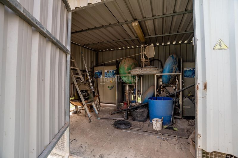 Foto f46d0dd9-05dd-4f8b-a84e-9df867453b7c. Finca rústica a Pedanías Sur Utrera