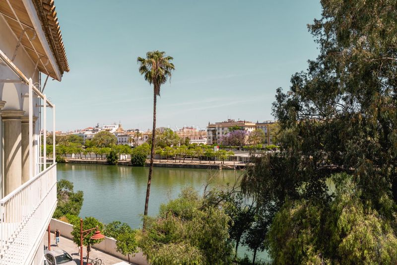 Foto 4d6a8a0a-2916-4456-84d4-4d570a0d2855. Lloguer pis a Triana Casco Antiguo Sevilla