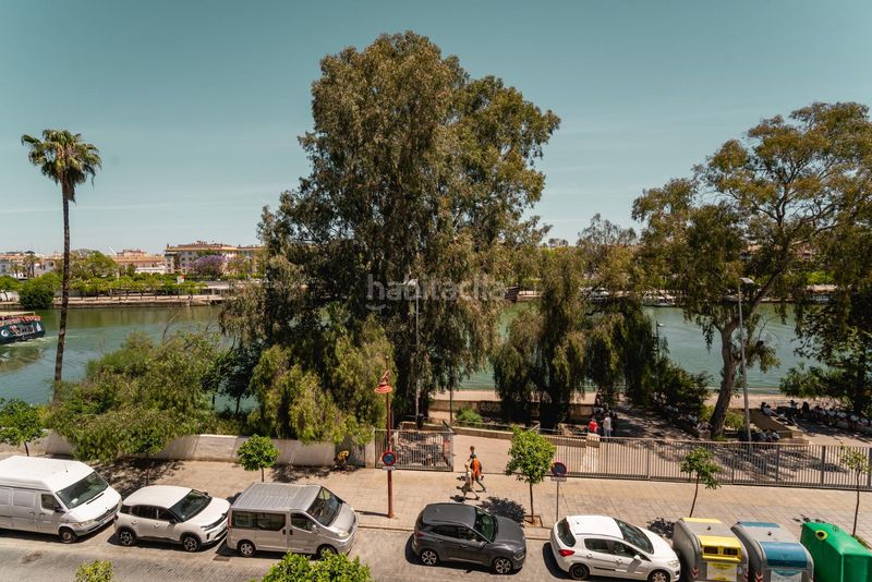 Foto a794412e-e5cc-48c4-8693-130e4598f924. Lloguer pis a Triana Casco Antiguo Sevilla