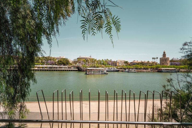 Foto d94a0ca1-a304-4e7a-9b4b-0f5178d0bc1b. Lloguer pis a Triana Casco Antiguo Sevilla