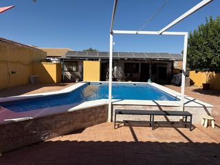 Xalet  Urbanizacion palmas (las). Chalet en torrepalma