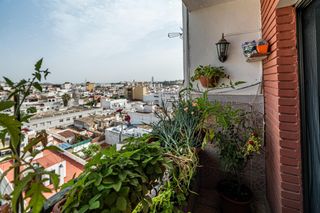 Pis  28 de febrero. Un balcón al aljarafe y a sevilla
