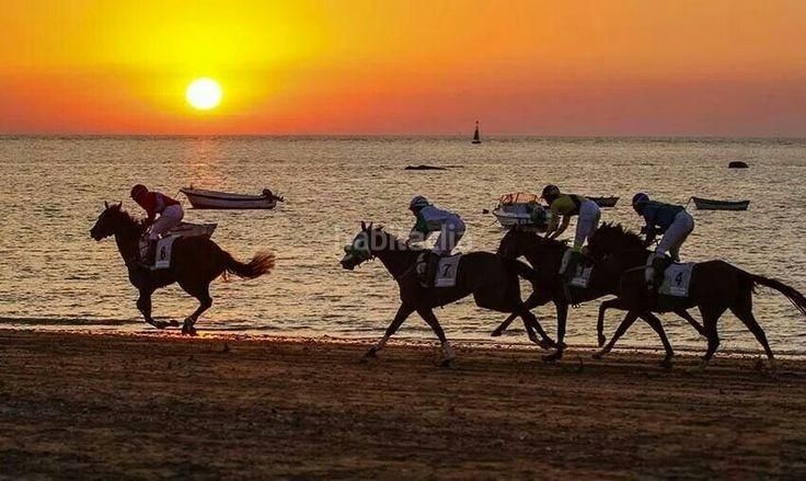 Foto 3909f1c1-6d97-4bb3-8b91-b91af64f2658. Pis amb aparcament piscina a El Pino-Bajo de Guía Sanlúcar de Barrameda