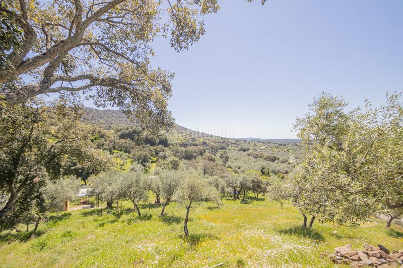 Foto e07cba6a-fbd4-4962-8101-e5b9aa7d8e07. Finca rústica a Pedroso (El)