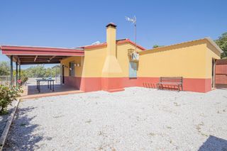 Finca rústica en Pedroso (El). Casa rural con piscina