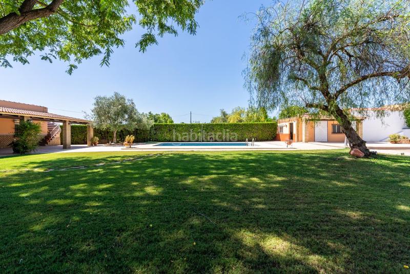 Foto 5a14e8b7-e017-4bab-b8f4-398382e6ab0a. Xalet amb calefacció aparcament piscina a Palomares del Río