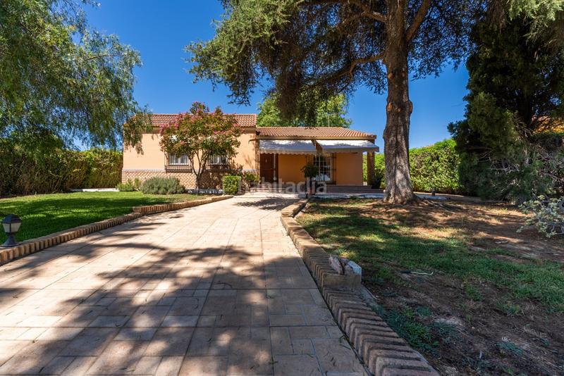 Foto ace2500c-a244-4456-9478-3cd5d9b48a57. Xalet amb calefacció aparcament piscina a Palomares del Río