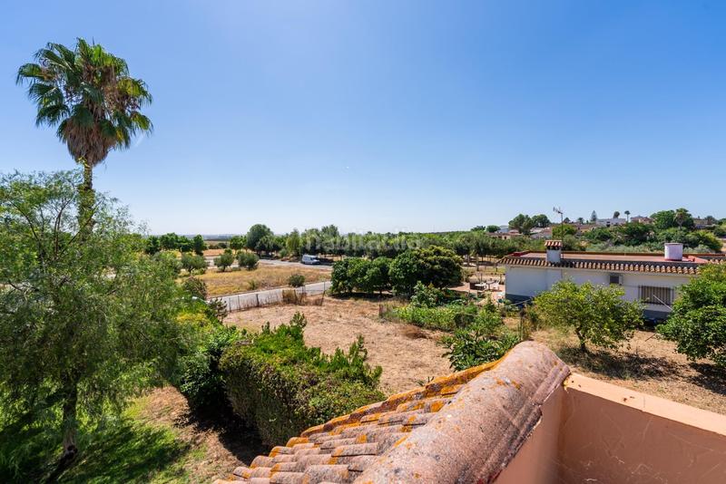 Foto eadad3bb-d640-40d2-9037-f5c58cbefbe9. Xalet amb calefacció aparcament piscina a Palomares del Río