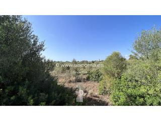 Residential Plot in Sant Llorenç des Cardassar. Suelo rústico edificable.