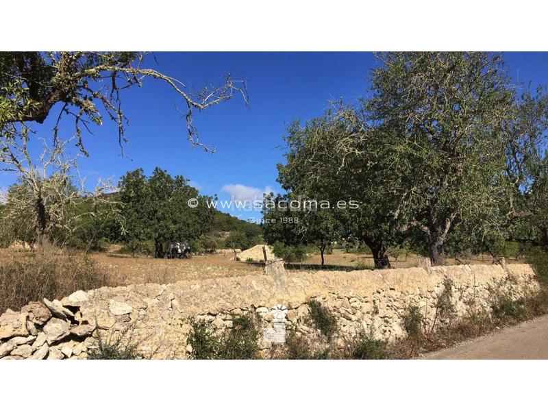 Foto 669f78b2-bd00-4ae6-8c95-490c4b07b0a5. Terreny residencial a S´Alquería Blanca - Calonge Santanyí