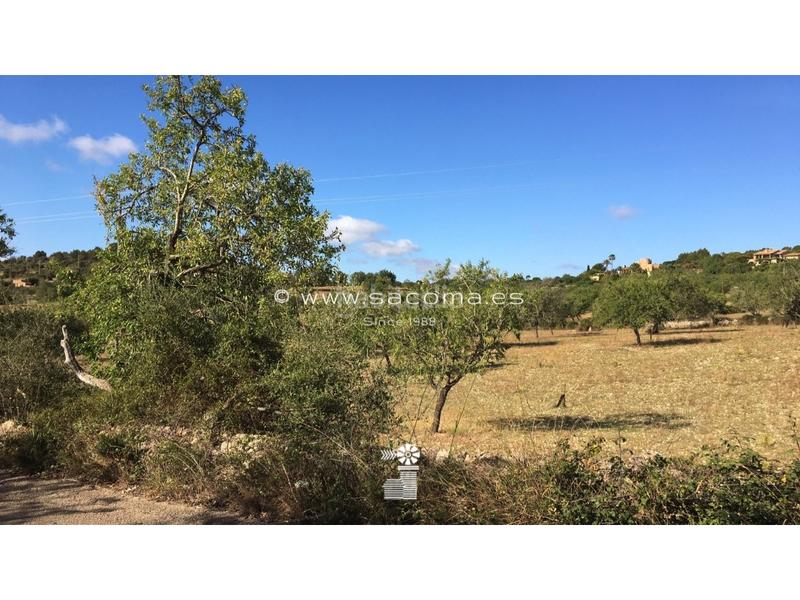 Foto 71f1155b-f035-41a6-9be9-3278f64c263a. Terreny residencial a S´Alquería Blanca - Calonge Santanyí