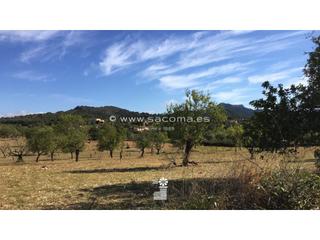 Terreny residencial a S´Alquería Blanca - Calonge. Solar rústico en alqueria blanca con licencia de obras.