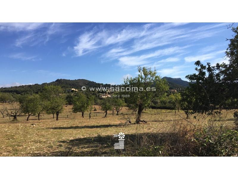 Foto af37e8a0-2c98-425a-923b-3df140af2798. Terreny residencial a S´Alquería Blanca - Calonge Santanyí