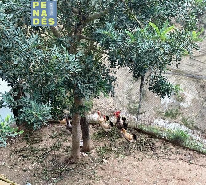 Foto e4d41161-8de1-4c32-b6b9-fb611ac59e47. House with heating pool in El Llombo Ontinyent