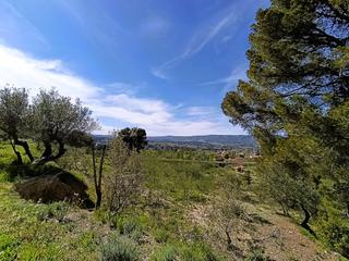 Xalet a El Pilar. Chalet zona estacion