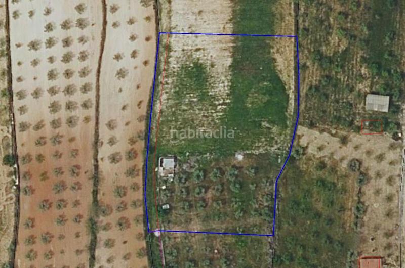 Foto f74abdba-4ea2-44d5-9fa1-efcbf5b375e2. Residential plot in Centro Ontinyent