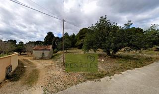 Terreny residencial a El Pilar