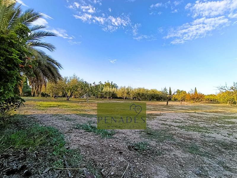 Foto aa8ce1fa-59bd-4988-9ac0-279a62e99c81. Chalet in El Llombo Ontinyent