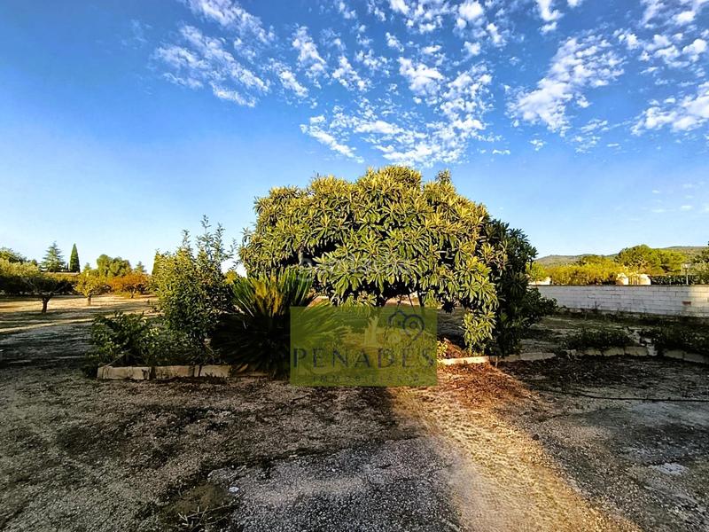 Foto e3ccc4b4-30f9-43f0-aa92-b6df463aca62. Chalet in El Llombo Ontinyent