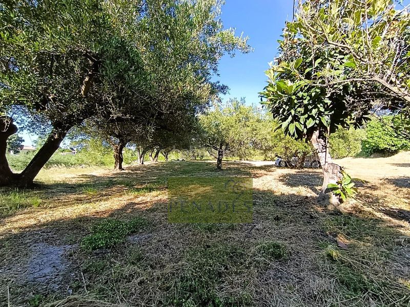 Foto 62c745e3-0f23-40ce-9abc-1b362bc2f92a. Chalet  muy cerca en Sant Josep-Zona Hospital Ontinyent
