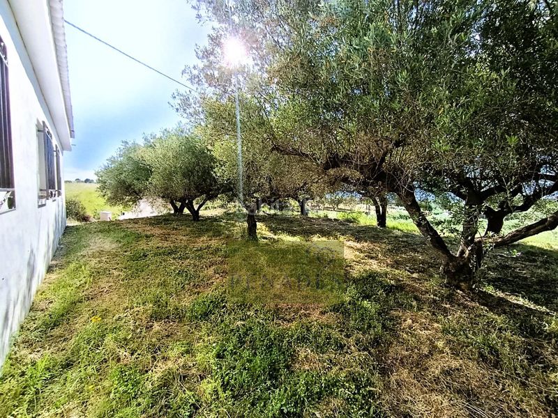 Foto a4eeece0-8a36-4aae-8303-909810f25fa8. Chalet  muy cerca en Sant Josep-Zona Hospital Ontinyent