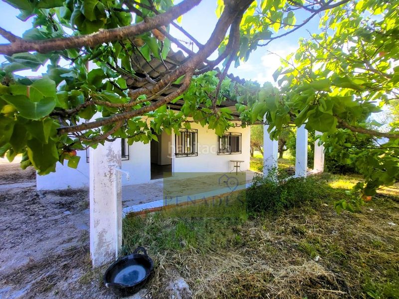 Foto ae96b018-ec59-49c0-9882-f86b3cce095b. Chalet  muy cerca en Sant Josep-Zona Hospital Ontinyent