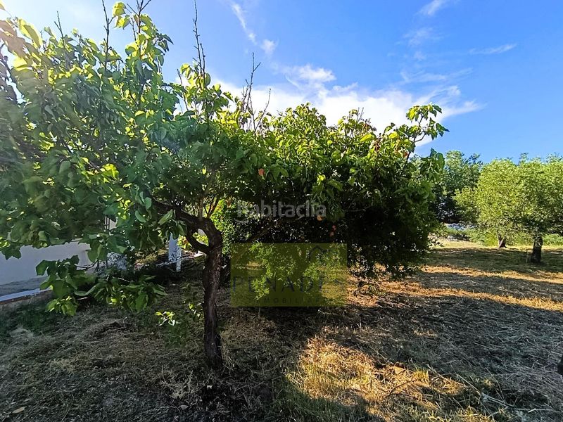 Foto aebb3b80-6a98-41a0-a316-de786cf593c2. Chalet  muy cerca en Sant Josep-Zona Hospital Ontinyent