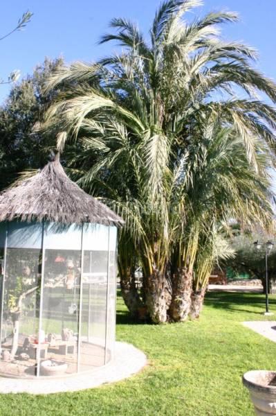 Foto c6936218-cac7-4228-8d1c-24ffa2989af2. Chalet avec chauffage piscine dans Centro Ontinyent