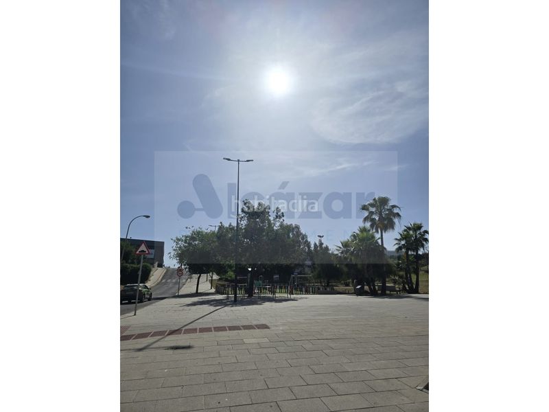 Foto c5cc83bc-7271-488a-aa99-4a8941b5e6bd. Pis a Nueva Alcalá Alcalá de Guadaira