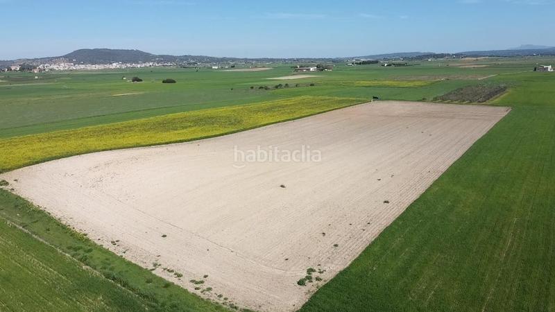 Foto 0e1762d2-8eb9-4ed9-93d1-3704f5a3bd62. Terrain résidentiel dans carretera de palma 47 dans Vilafranca de Bonany