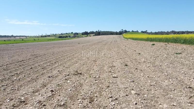 Foto 359dad8e-13b0-44e3-a45f-8a50f200fed9. Terrain résidentiel dans carretera de palma 47 dans Vilafranca de Bonany
