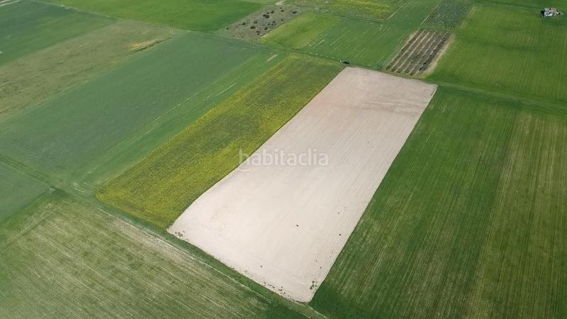 Foto 713619c8-c923-48d6-8be9-99fc65333d7c. Terrain résidentiel dans carretera de palma 47 dans Vilafranca de Bonany