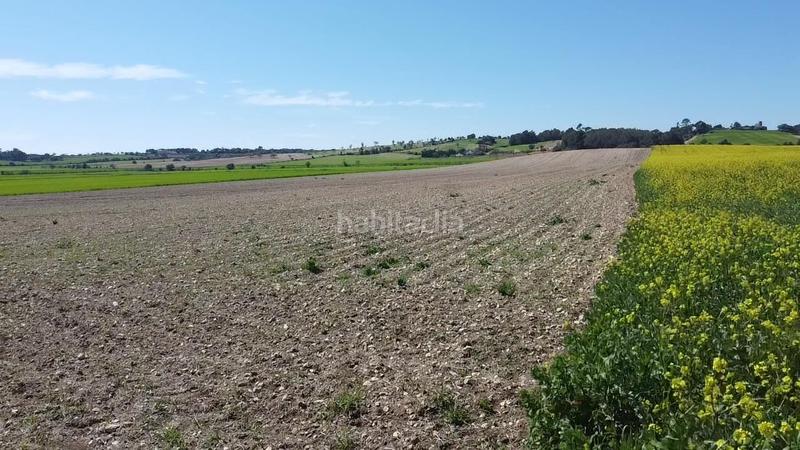 Foto 88e386fd-7d50-451a-a50b-1d832844225d. Terrain résidentiel dans carretera de palma 47 dans Vilafranca de Bonany