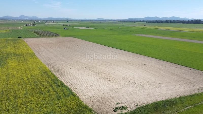 Foto 920f4c11-bee8-487a-9d12-523bfd0bfb0d. Terrain résidentiel dans carretera de palma 47 dans Vilafranca de Bonany