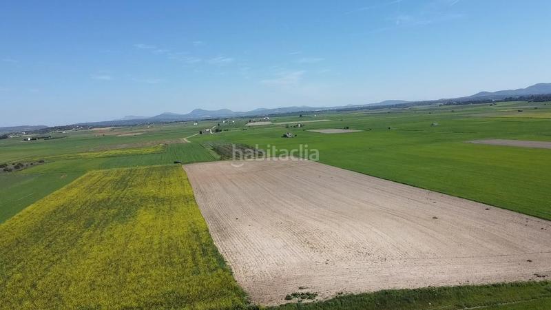 Foto aa504ab3-948a-4a0a-aa4d-53f49f4c6185. Terrain résidentiel dans carretera de palma 47 dans Vilafranca de Bonany