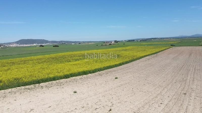 Foto c38a0880-ffd2-4db8-a63e-0302399e79f6. Terrain résidentiel dans carretera de palma 47 dans Vilafranca de Bonany