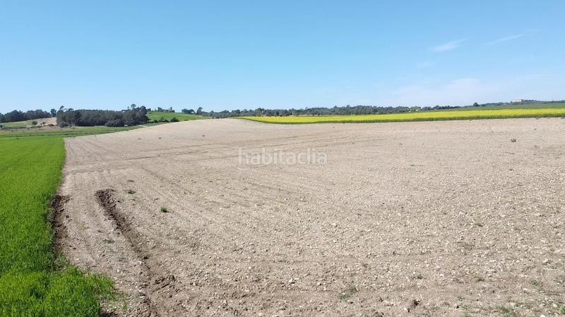Foto e03fd4a4-165b-414c-bcb1-0d563ba4700f. Terrain résidentiel dans carretera de palma 47 dans Vilafranca de Bonany