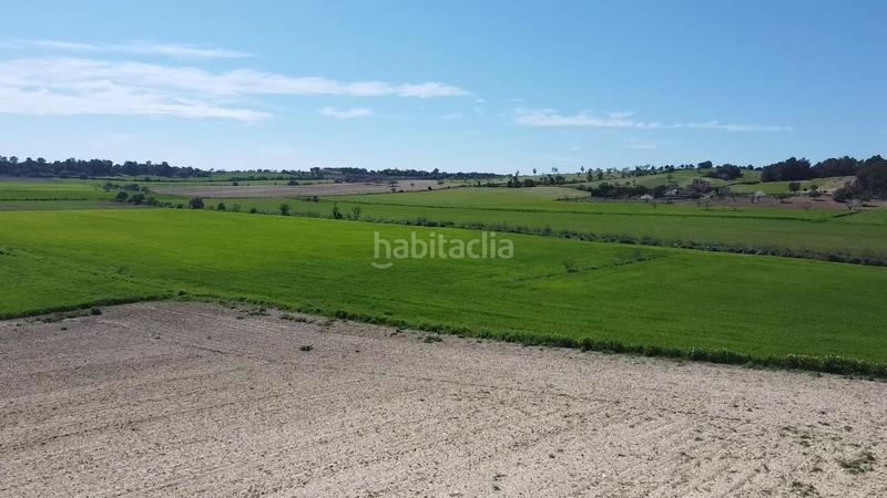 Foto e8683f14-f5a3-4306-ac4a-438b32a3d9e1. Terrain résidentiel dans carretera de palma 47 dans Vilafranca de Bonany