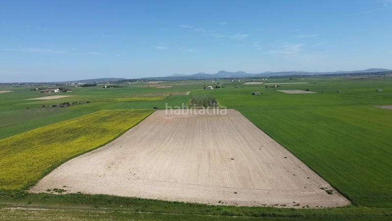 Foto f707abe6-1d70-45c7-94e6-feacc56c7da9. Terrain résidentiel dans carretera de palma 47 dans Vilafranca de Bonany